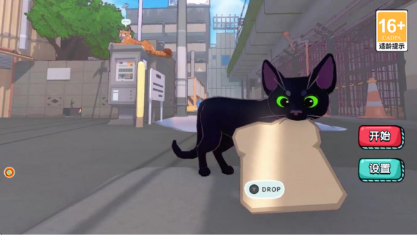 猫咪城市探索行