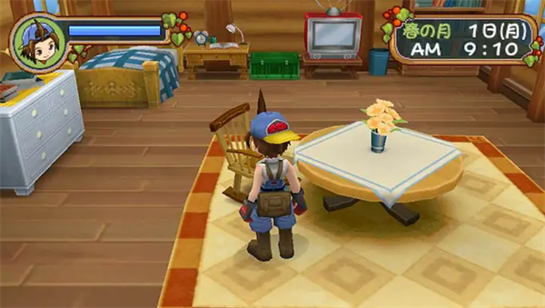 牧场物语蜜糖村与大家的心愿3