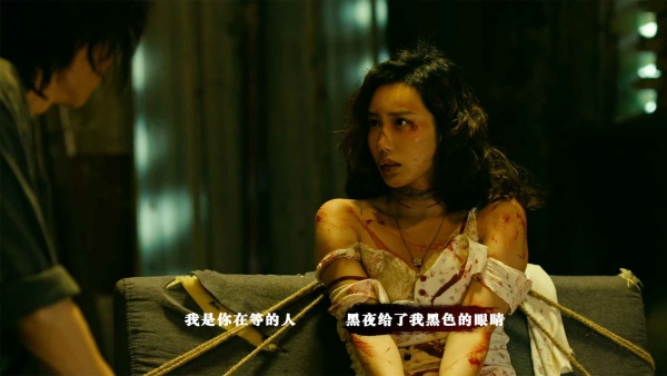 扫毒风暴宛北往事2