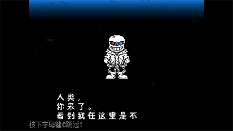 传说之下白菜遭遇战