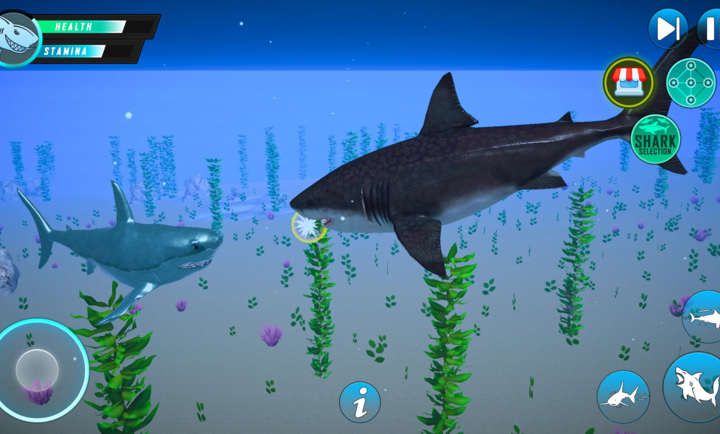 鲨鱼水下生存模拟3