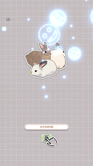 挤在一起的兔兔