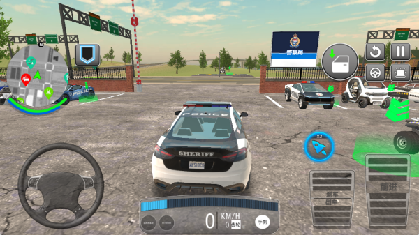 真实警车驾驶
