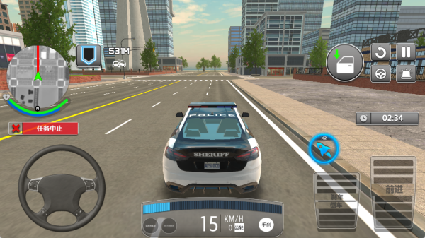 真实警车驾驶