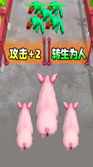 小猪疯狂进化1