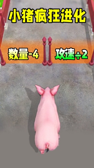 小猪疯狂进化2