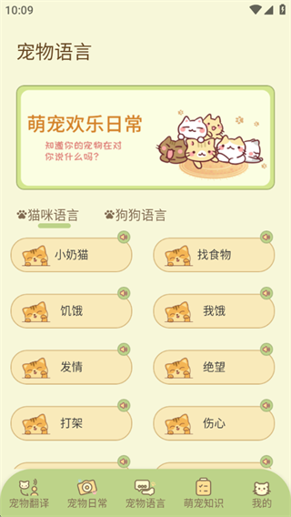 自愈猫咪