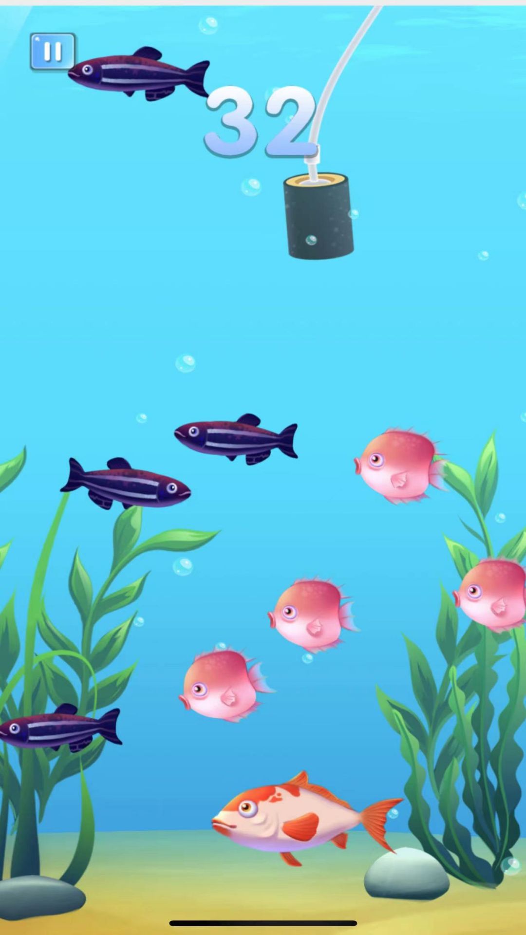 疯狂鱼宴大吃特吃2