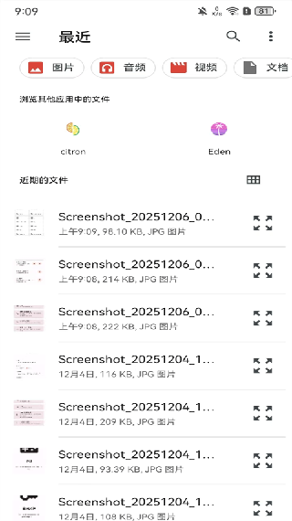 Citron柠檬模拟器