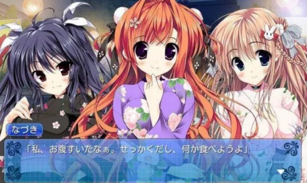 我的女友的表里两面3