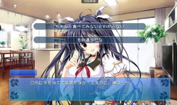 我的女友的表里两面