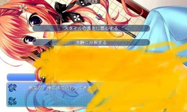 我的女友的表里两面