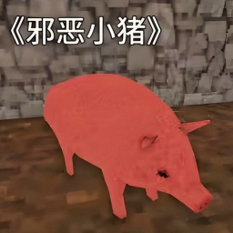 小猪的生活