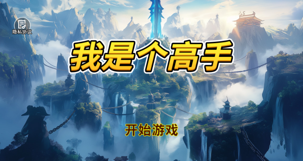 我是个高手