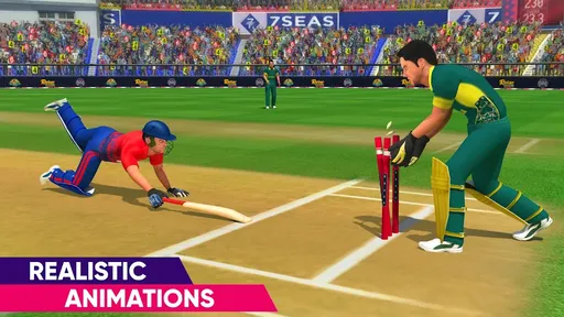 世界板球冠军精简版1