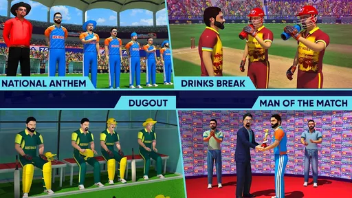 世界板球冠军精简版3