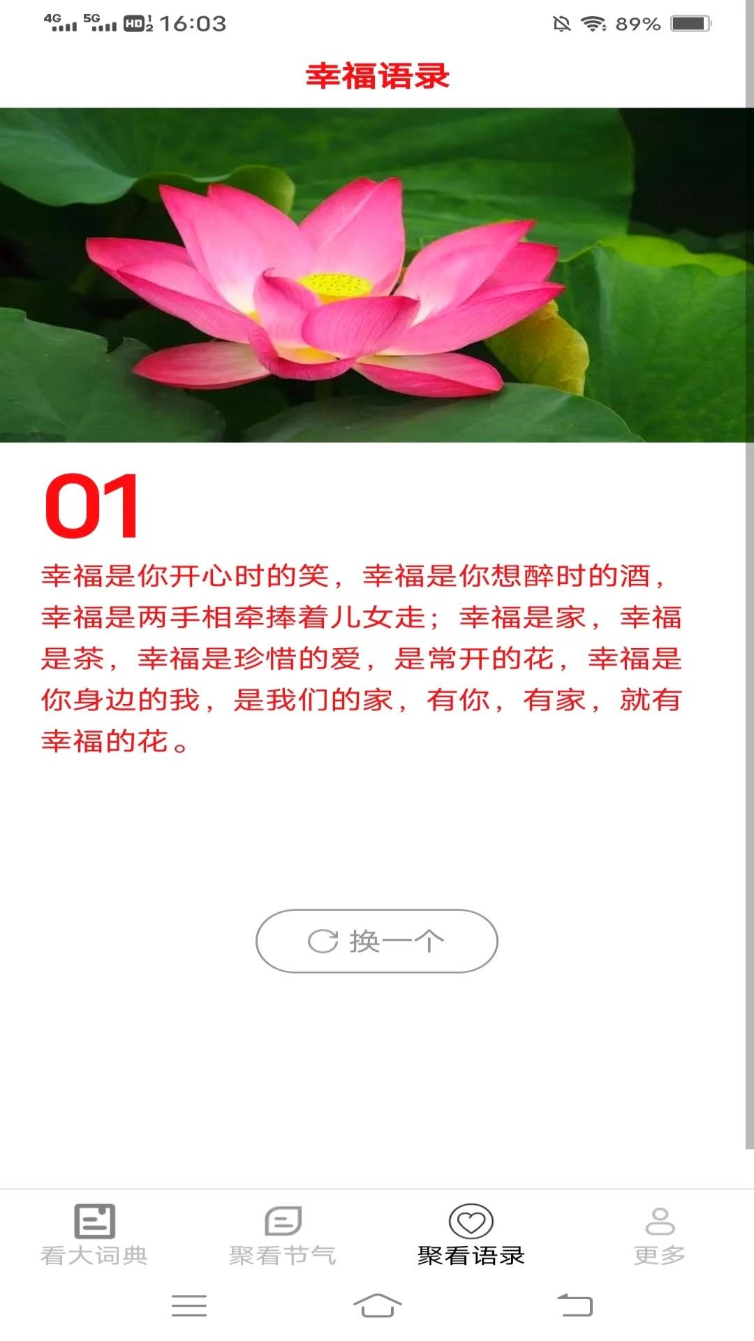 新聚看1
