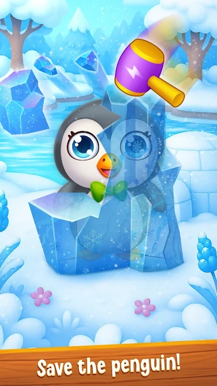 猪医生动物医院2