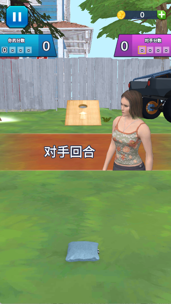 投袋入洞决胜投掷3