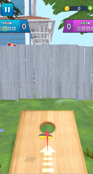 投袋入洞决胜投掷