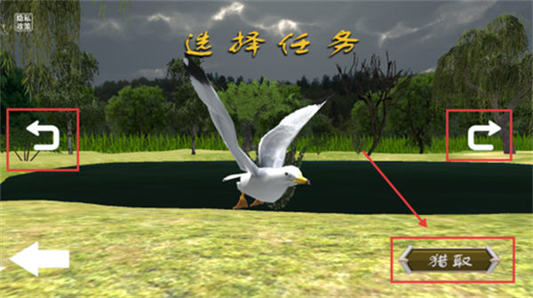3d猫头鹰狩猎模拟