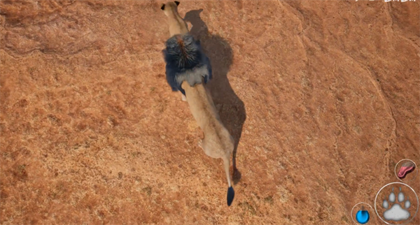 狮子狩猎模拟器