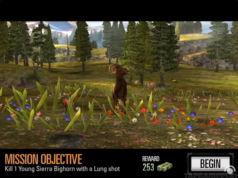 动物猎人荒野狙击手