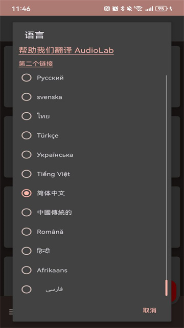 Audiolab专业版中文2