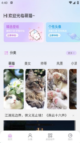 萌猫派对壁纸