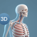 3dbody人体解剖学