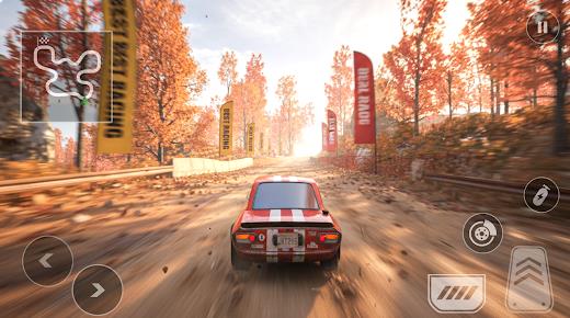 拉力赛车专业版3.01