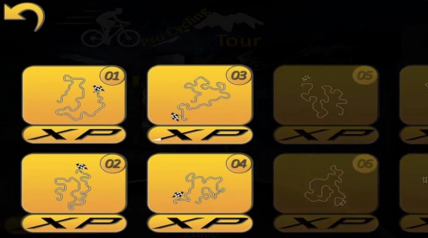 职业自行车巡回赛