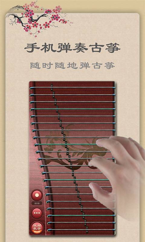 古筝教练1