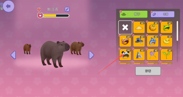 我的水豚小伙伴