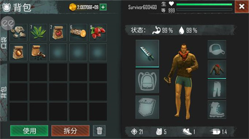 生或死生存中文版