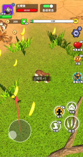 山海经猿猴进化