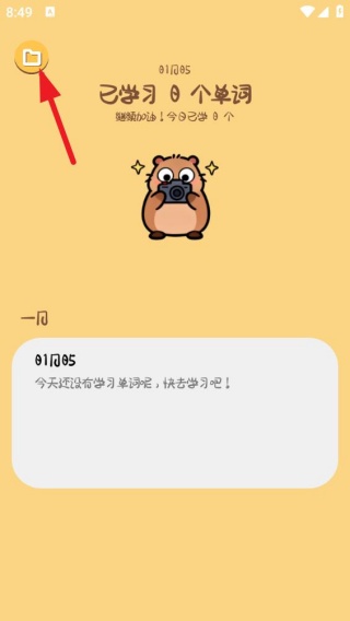 卡皮巴拉单词相机