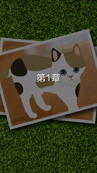 可爱猫咪满满