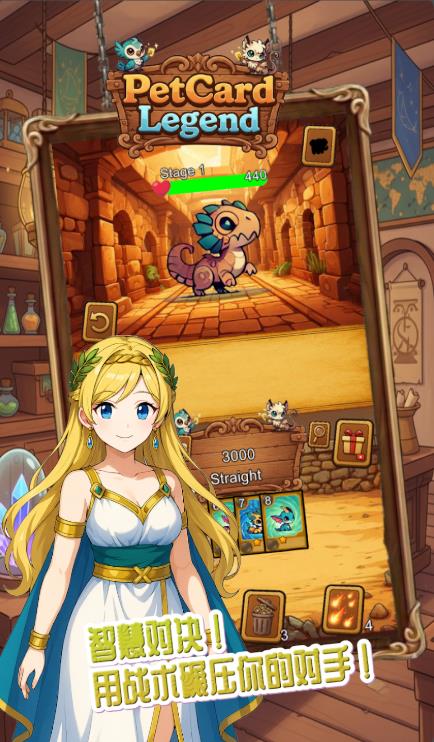 宠物传说卡片RPG2