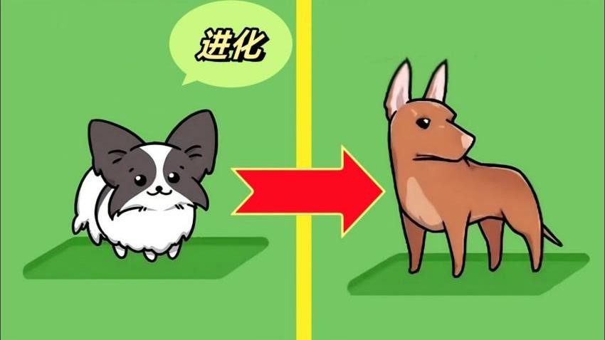 动物合成大作战2