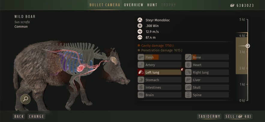 猎人之道狂野欧洲1