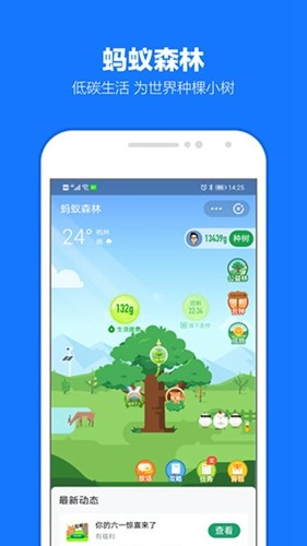 支付宝澳门版本1