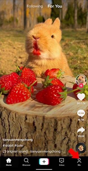 怎么设置中文配图1