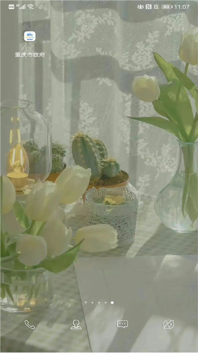 重庆市政府app18