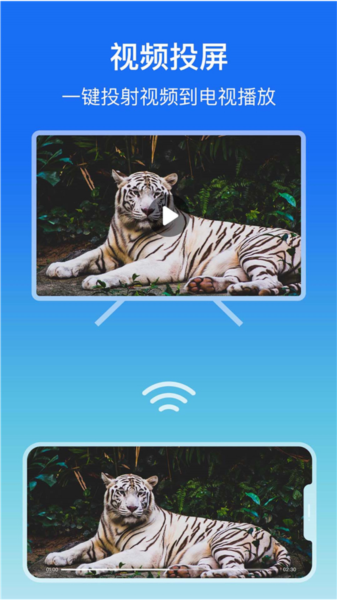 lbtp屏幕镜像app5