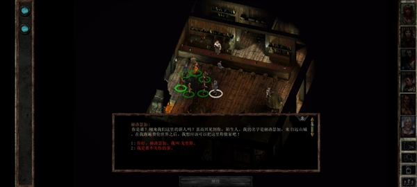 冰风谷增强版付费解锁版 Icewind Dale Enhanced Edition3