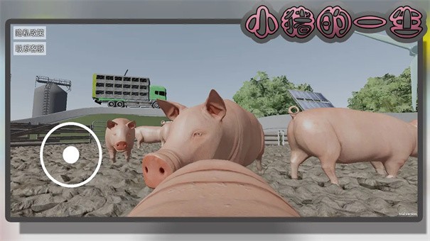 小猪一生模拟3