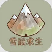 雪巅求生