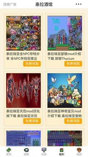 泰拉酒馆官方版5