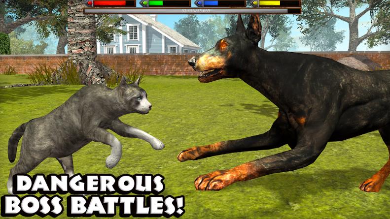 终极猫模拟器(Ultimate Cat Simulator)2